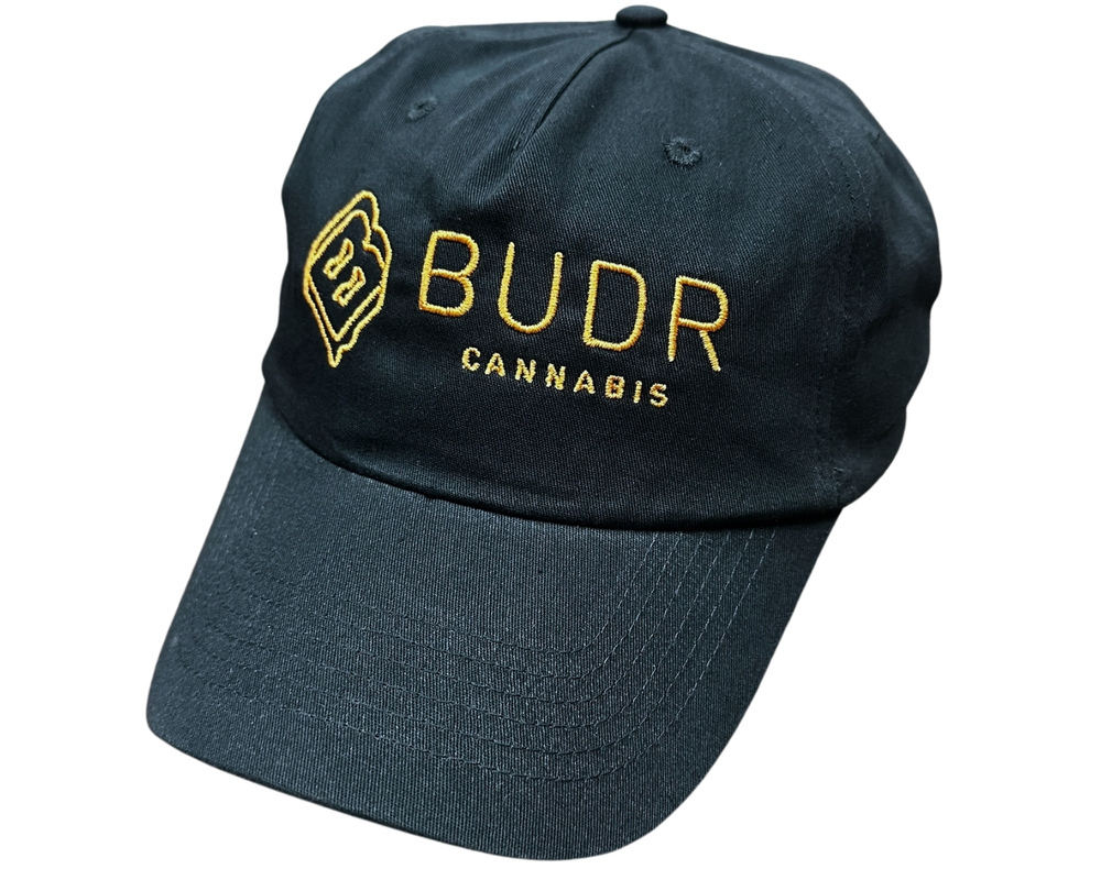 Dad Hat Navy