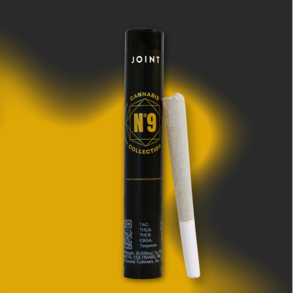 No. 9 - Water Mountain Queen Pre-Roll (1g) product photo