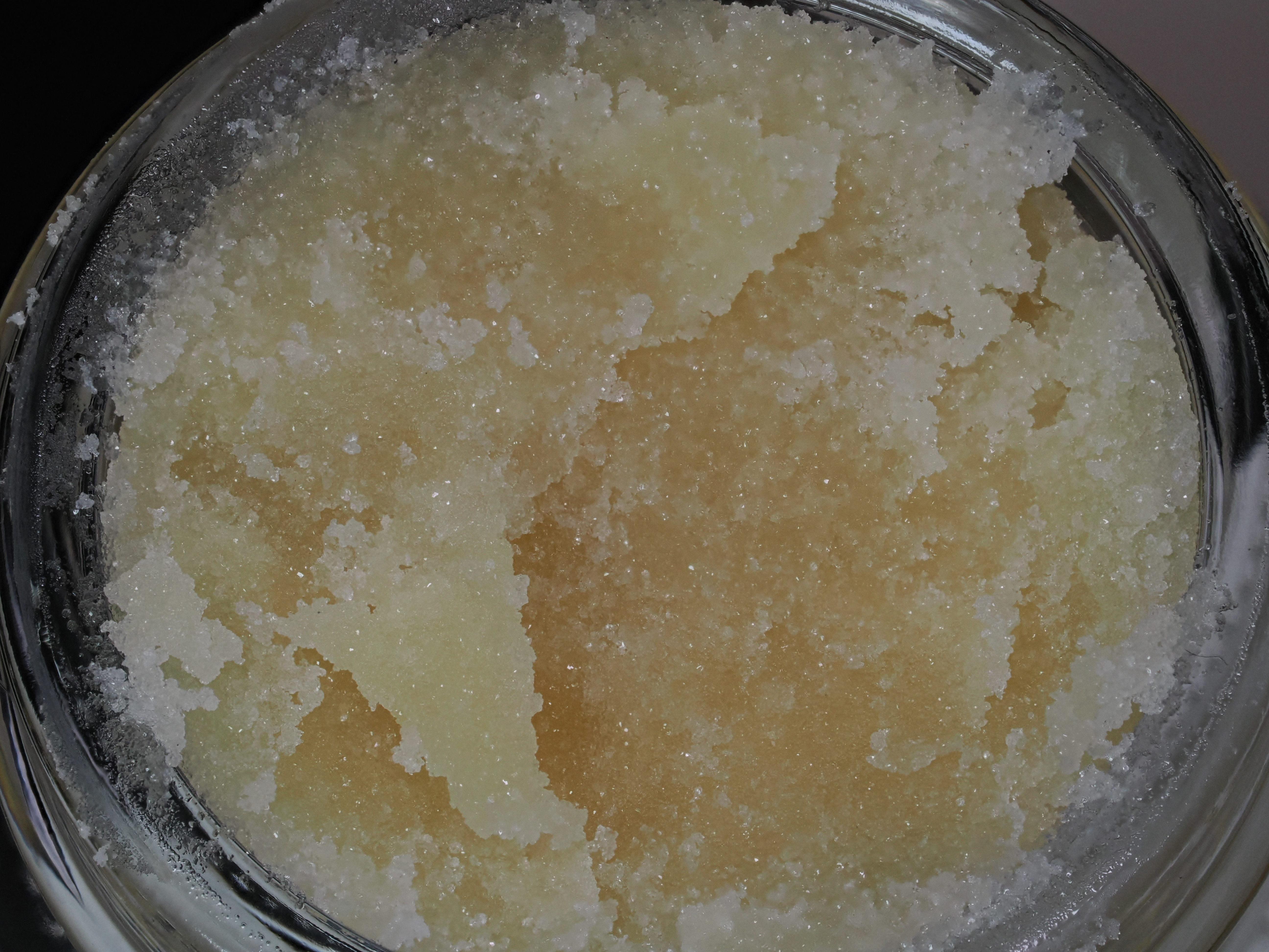 Lemon Cherry Gelato [5g]