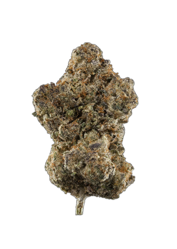 White Truffle x Black Lime Reserve #2 TAF