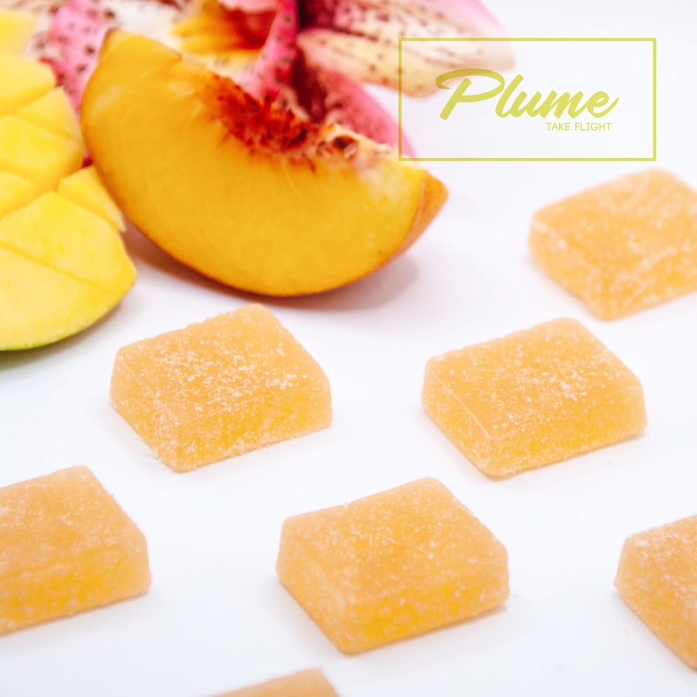 Orange Creamsicle [1pk] (100mg)