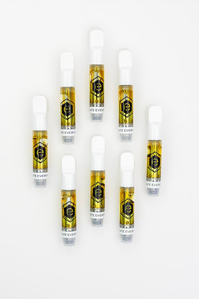 Northern Lights Northern Lights