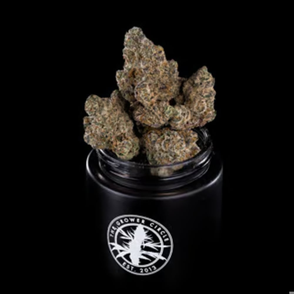 GMO x Lemon