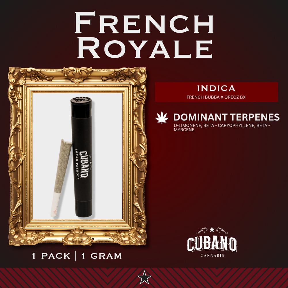 French Royale [1g]