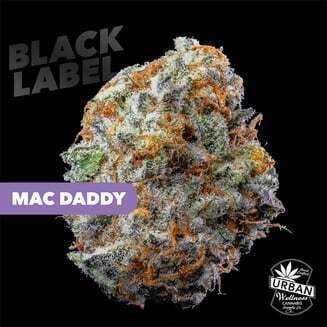 Black Label - Mac Daddy