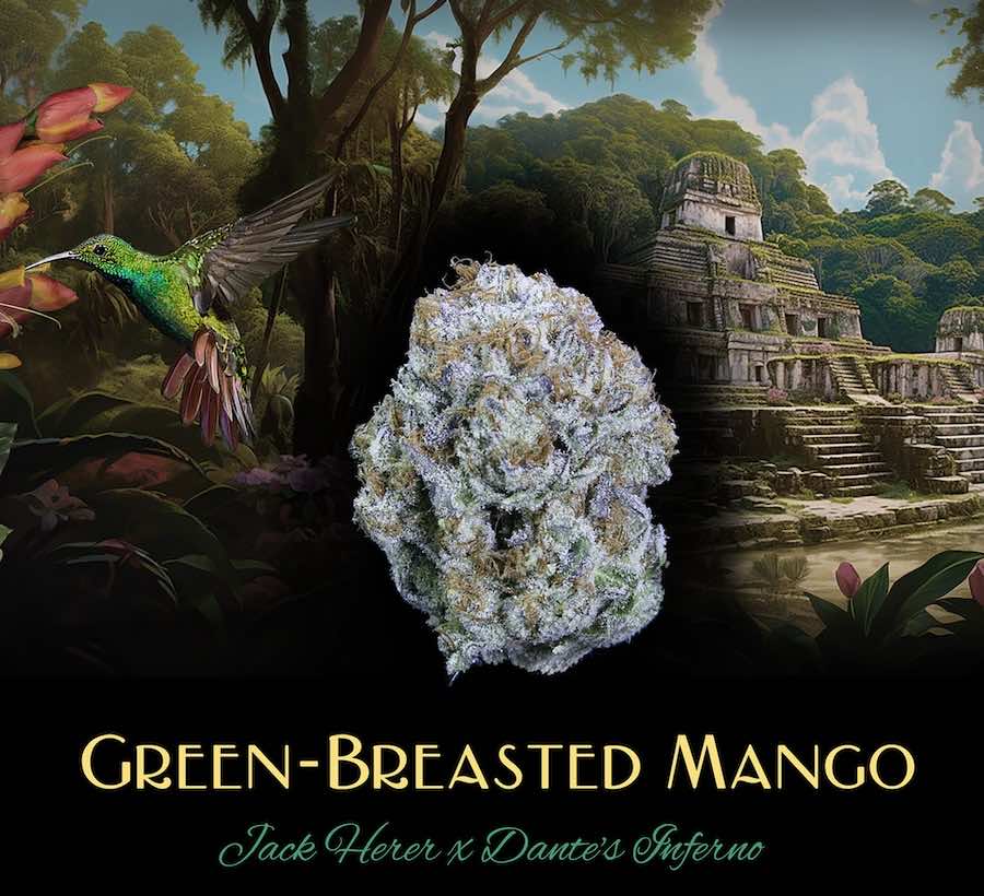 Green-Breasted Mango [.6g]