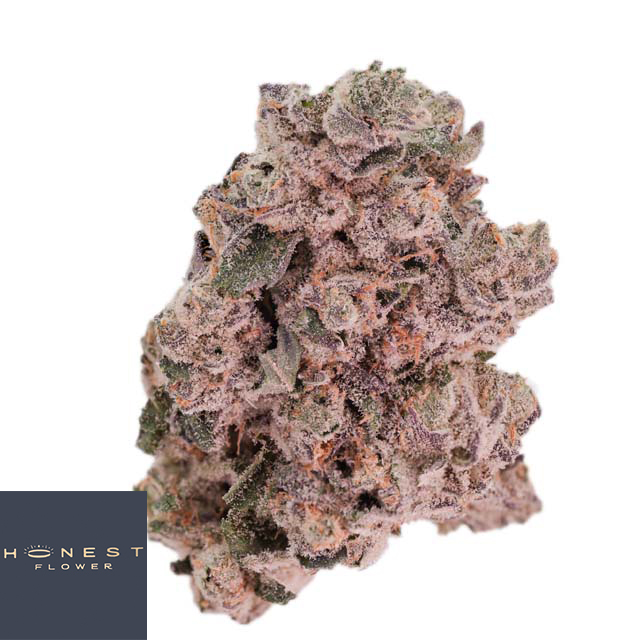 Bubblegum Gelato Bubblegum Gelato
