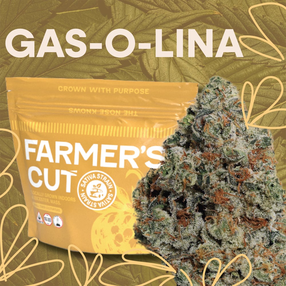Farmer's Cut - Gas-O-Lina Flower