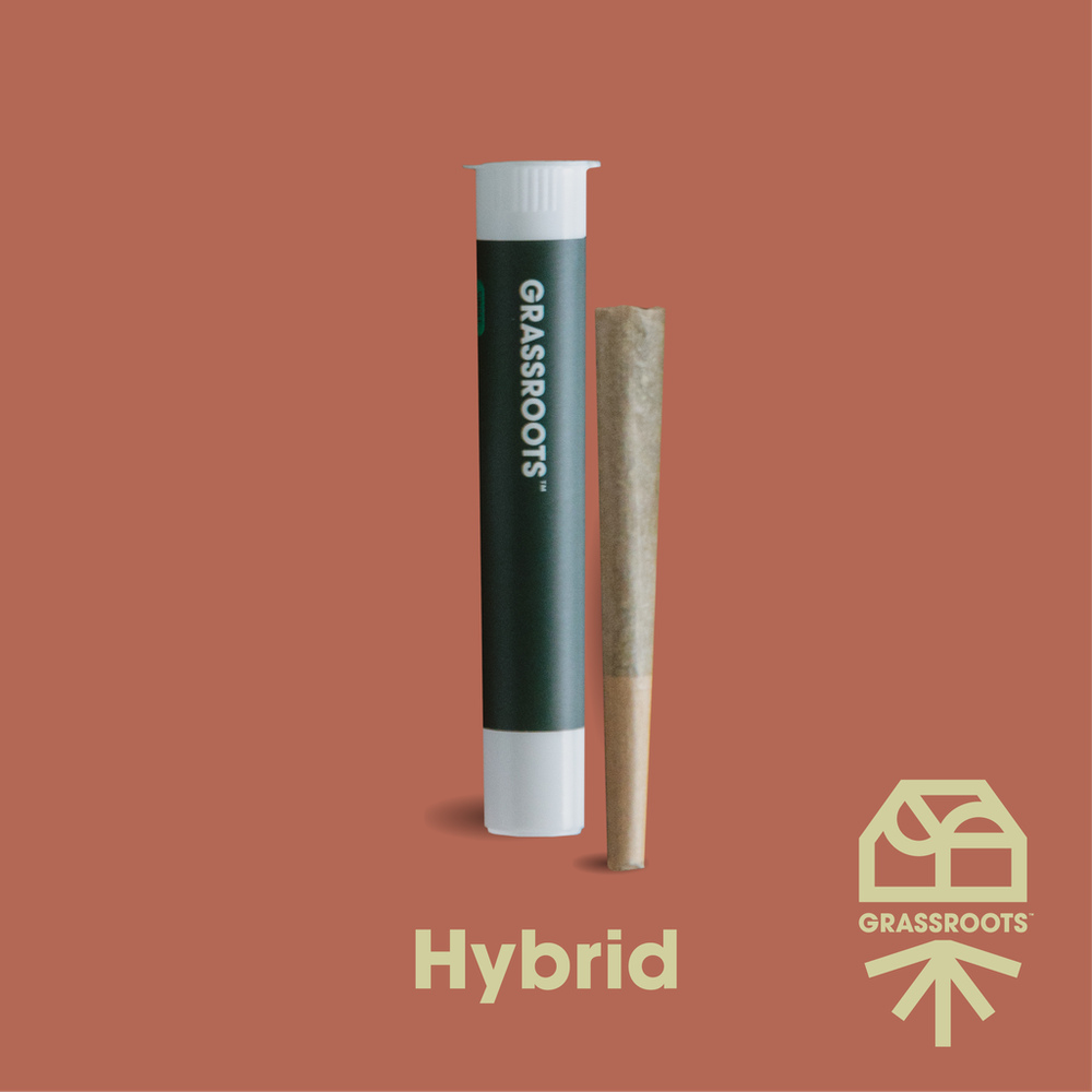 Shop Mimosa Kush Mints [1g] | Peake ReLeaf - AU Dispensary Rockville, MD