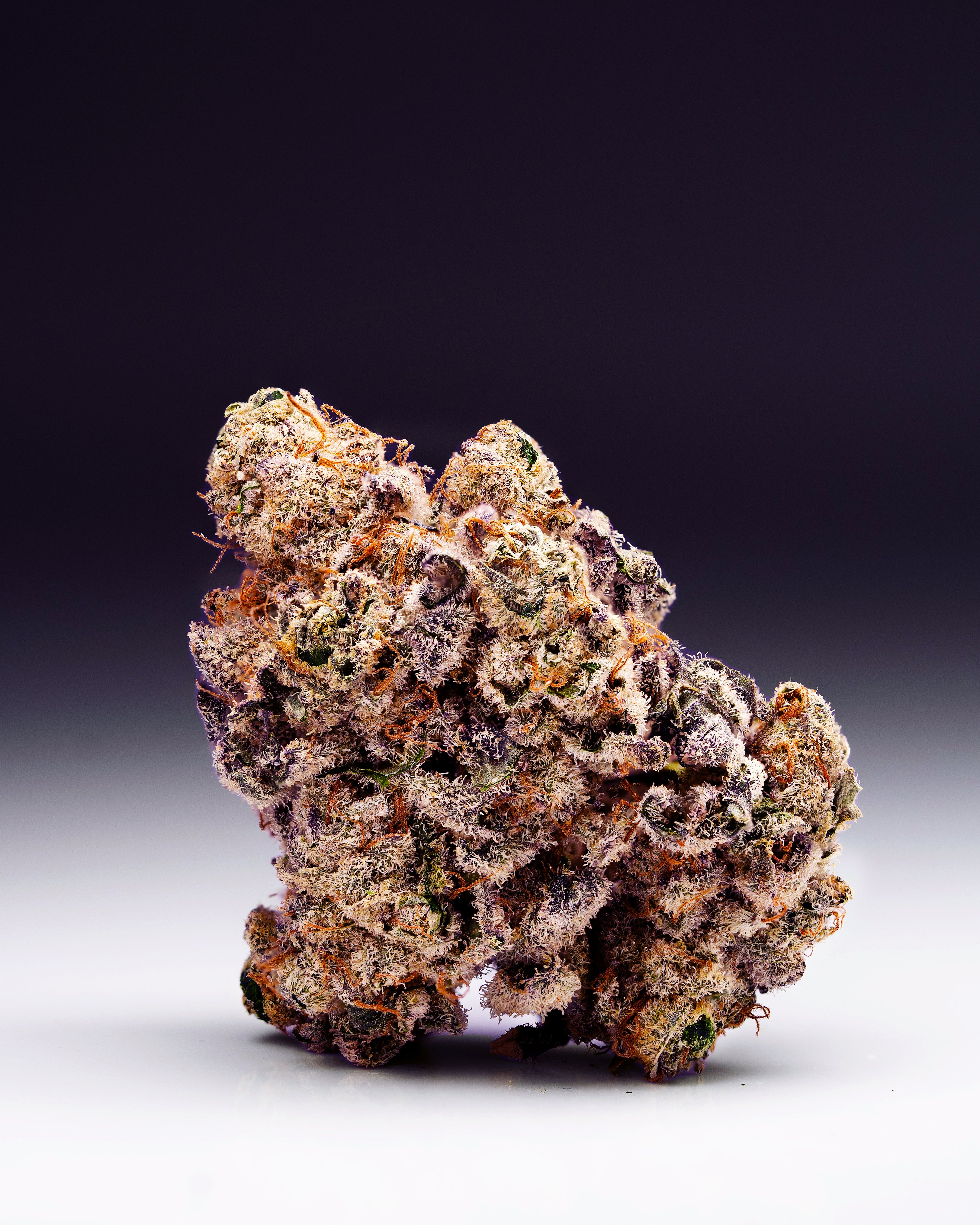 Orange Kush Xtreme []