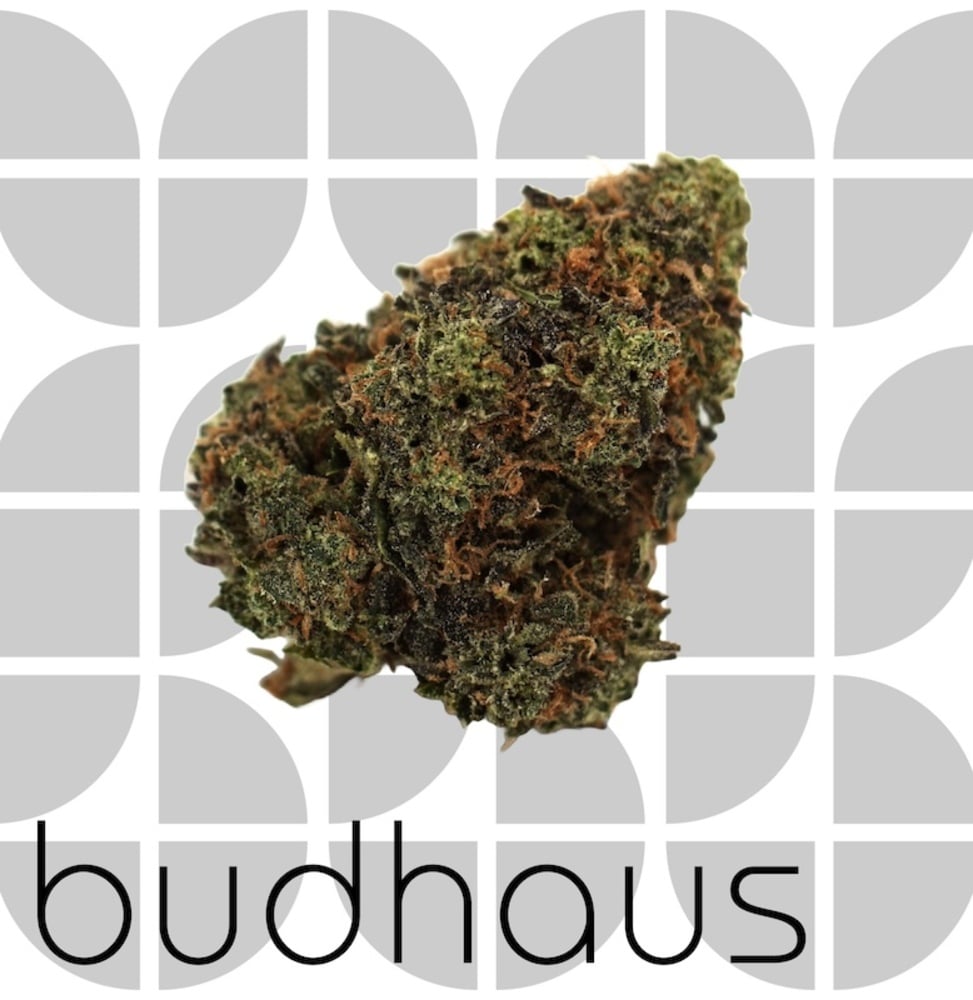 Budhaus - Grandband Flower