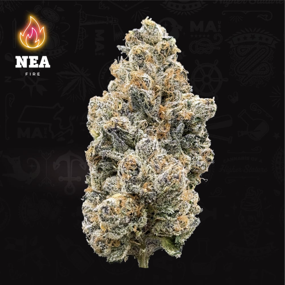 NEA Fire - Bufo Flower