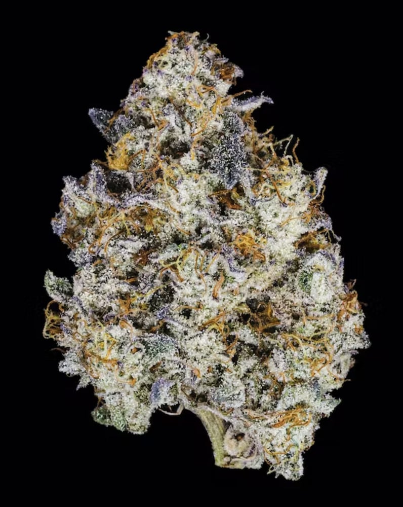 Cobra Kush
