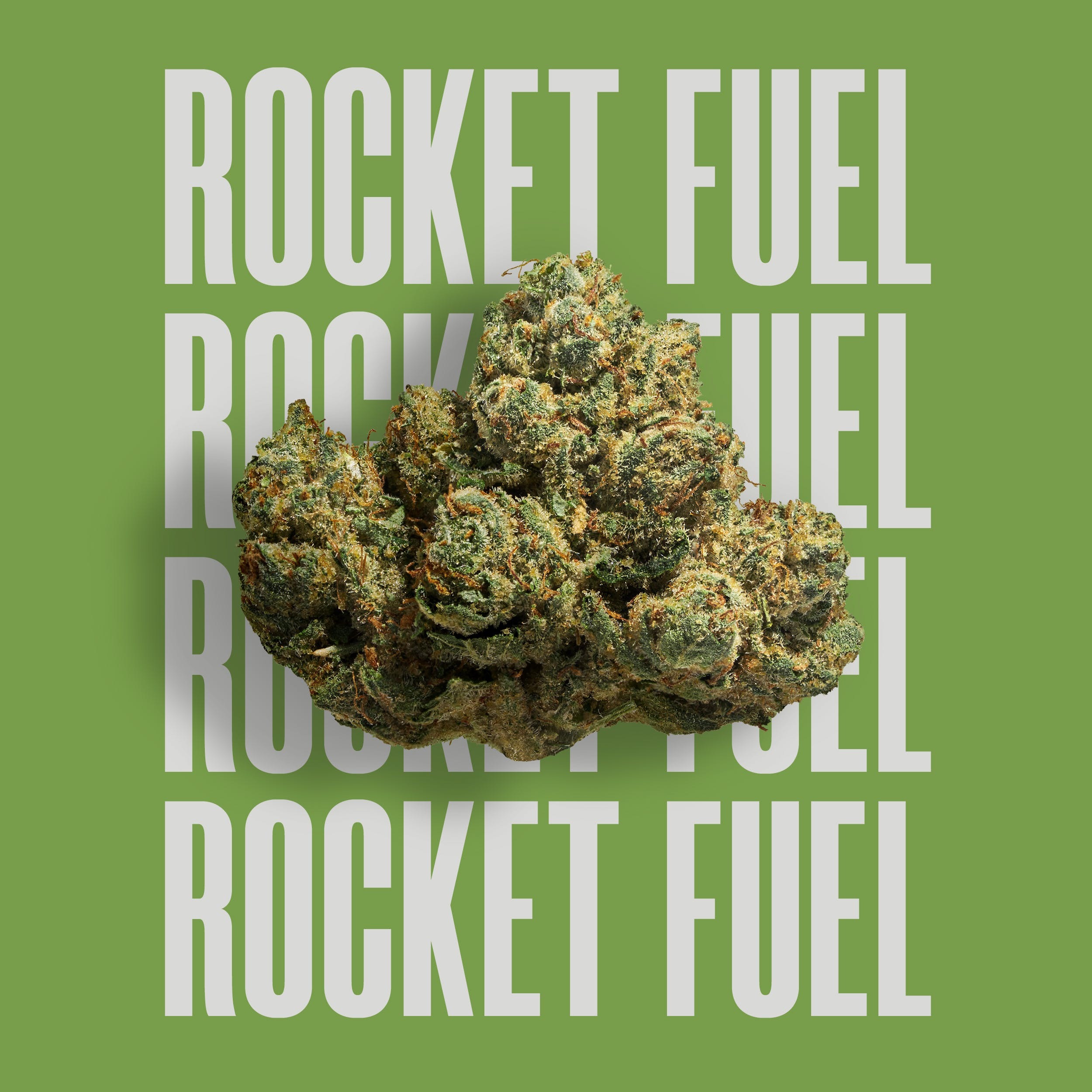 Rocket Fuel Cresco Jane