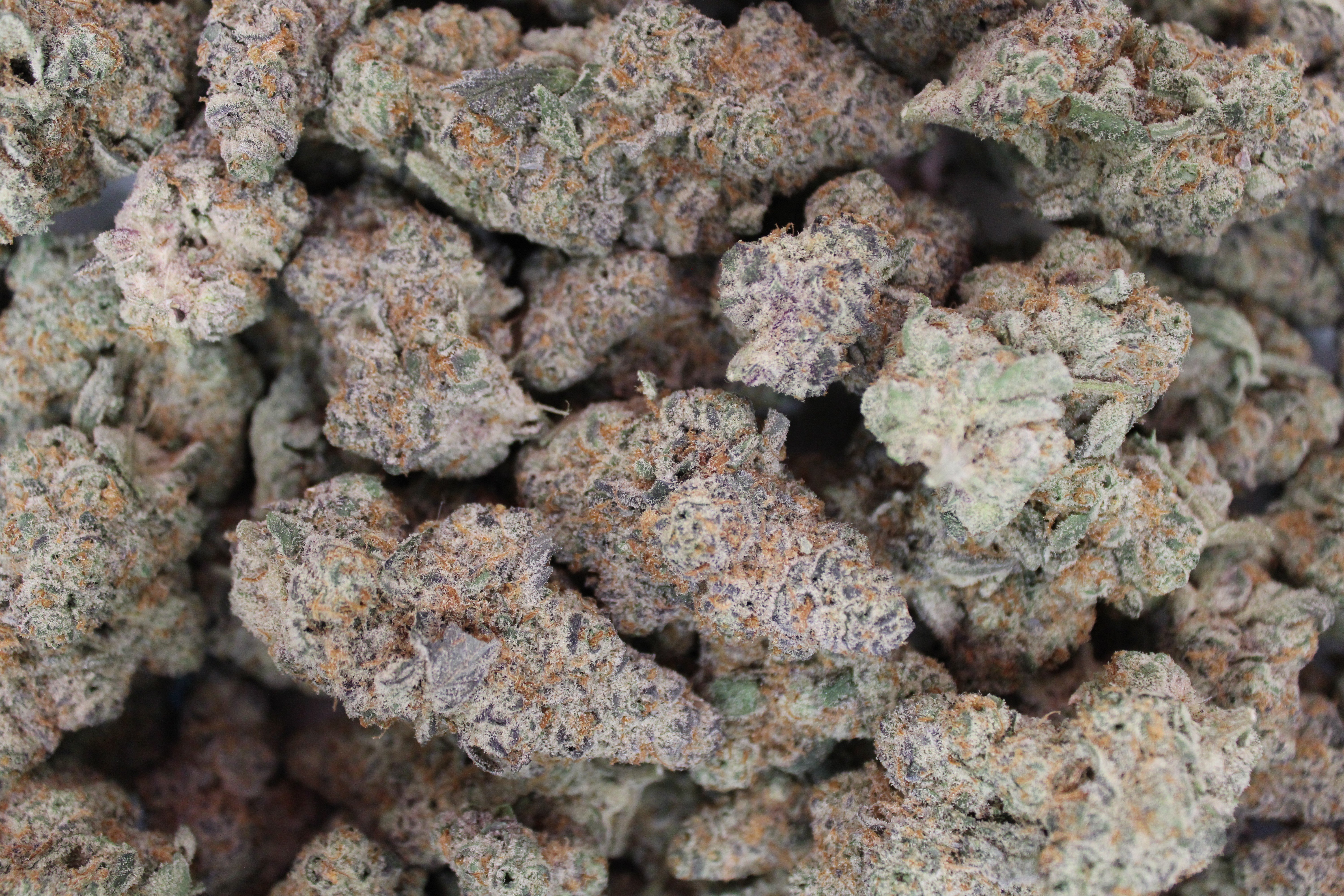 Dakota Green - Permanent Marker - Bulk Flower - Indica