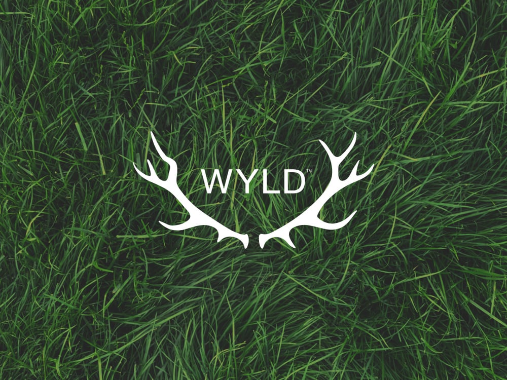 30% Off WYLD! Pop-Up 11am-1pm special