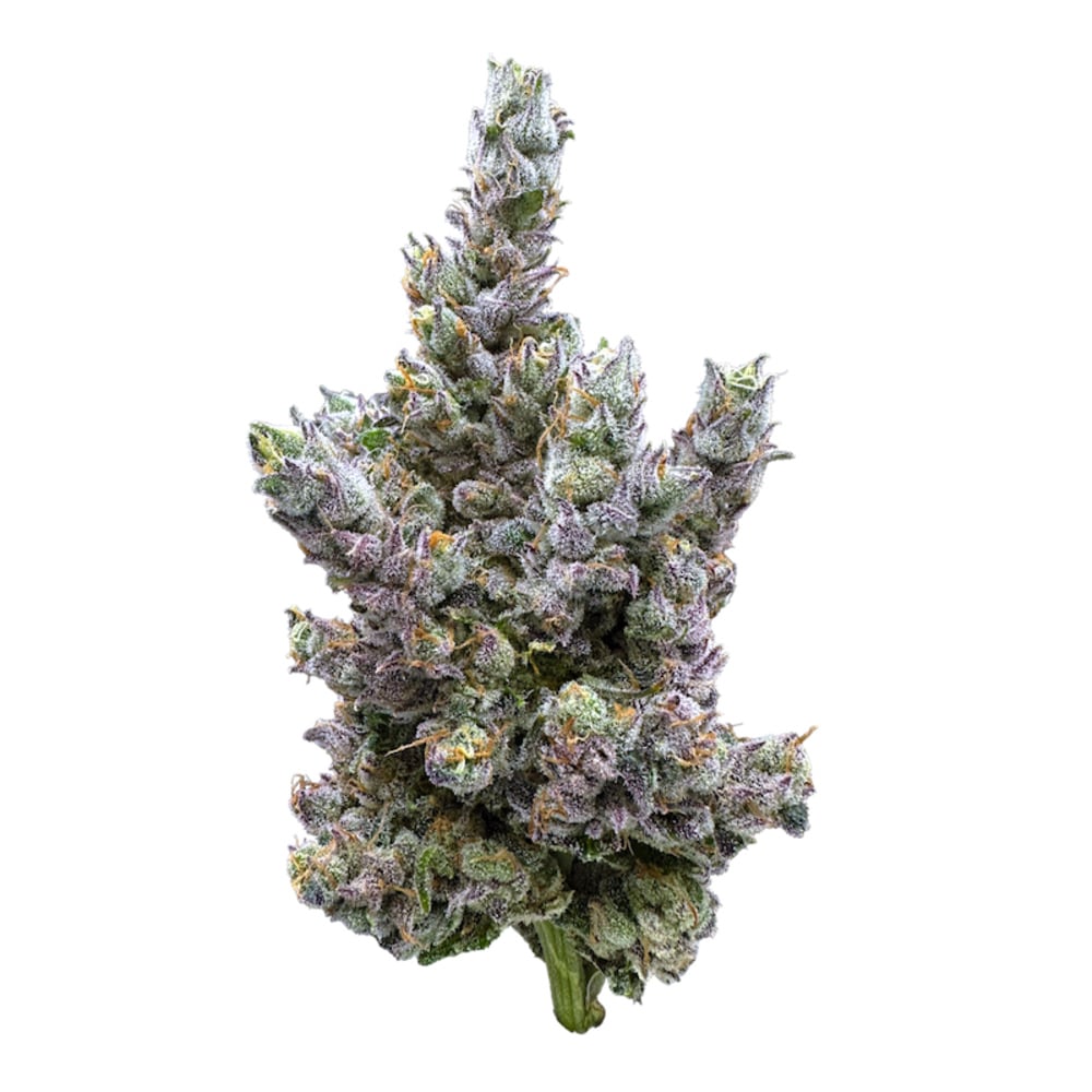 Trifecta Farms - Glue Dream Flower Trifecta Farms - Glue Dream Flower