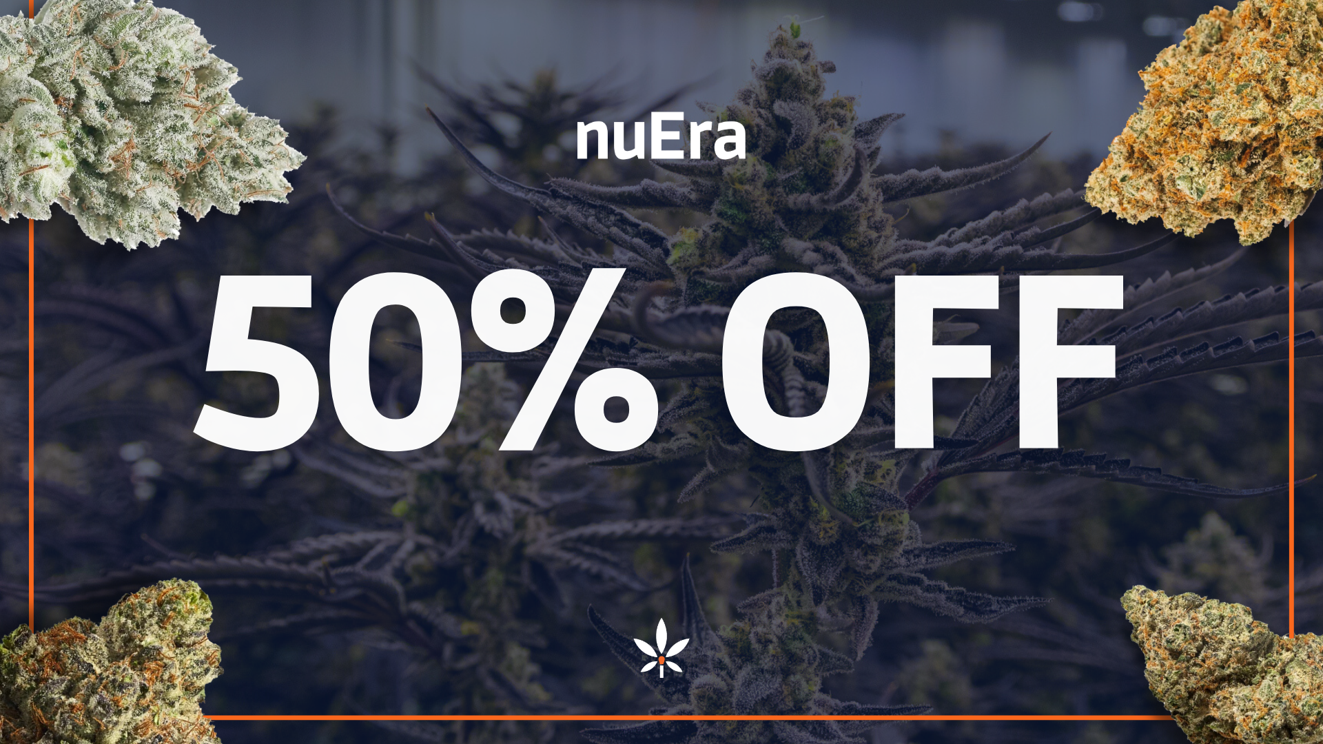 🔥Champaign 50% Off Fire Deals🔥 special photo