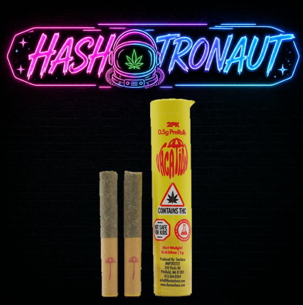 Hashtronaut