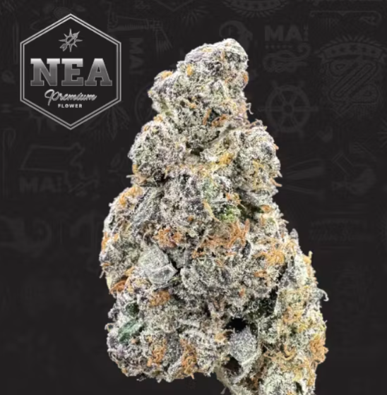 Pink Breath