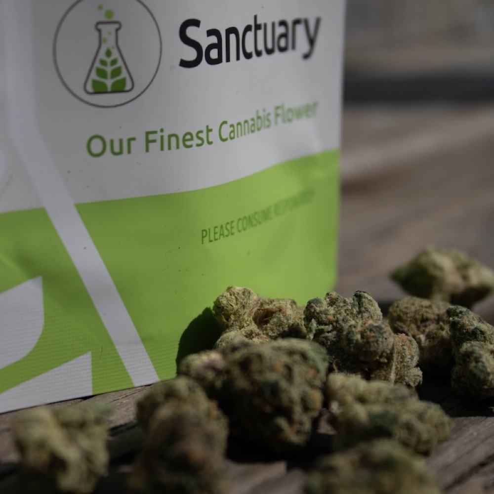 Sanctuary - Blue Dream Flower