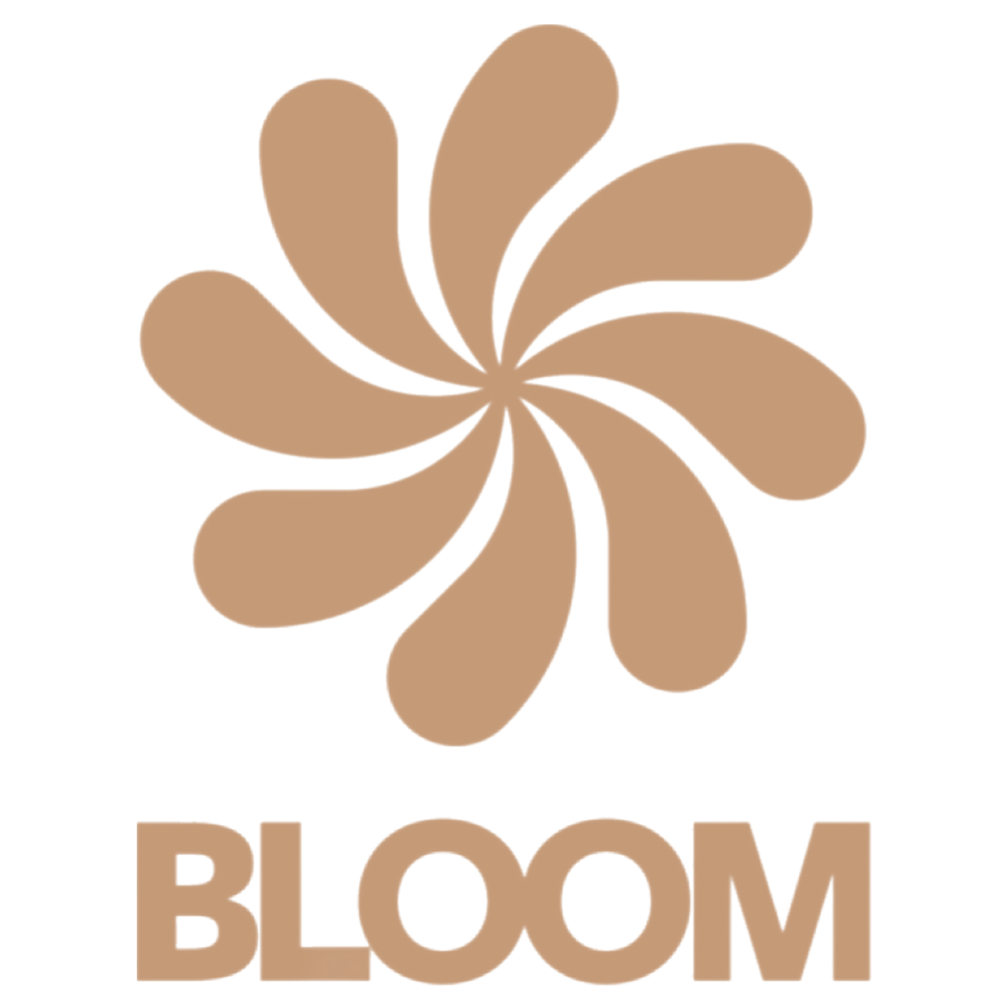 Bloom 40% OFF special photo