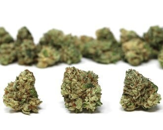 14g Mixed Buds Jet Fuel (H) 00853
