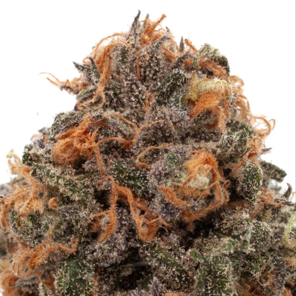 Resinate - Blue Dream Flower