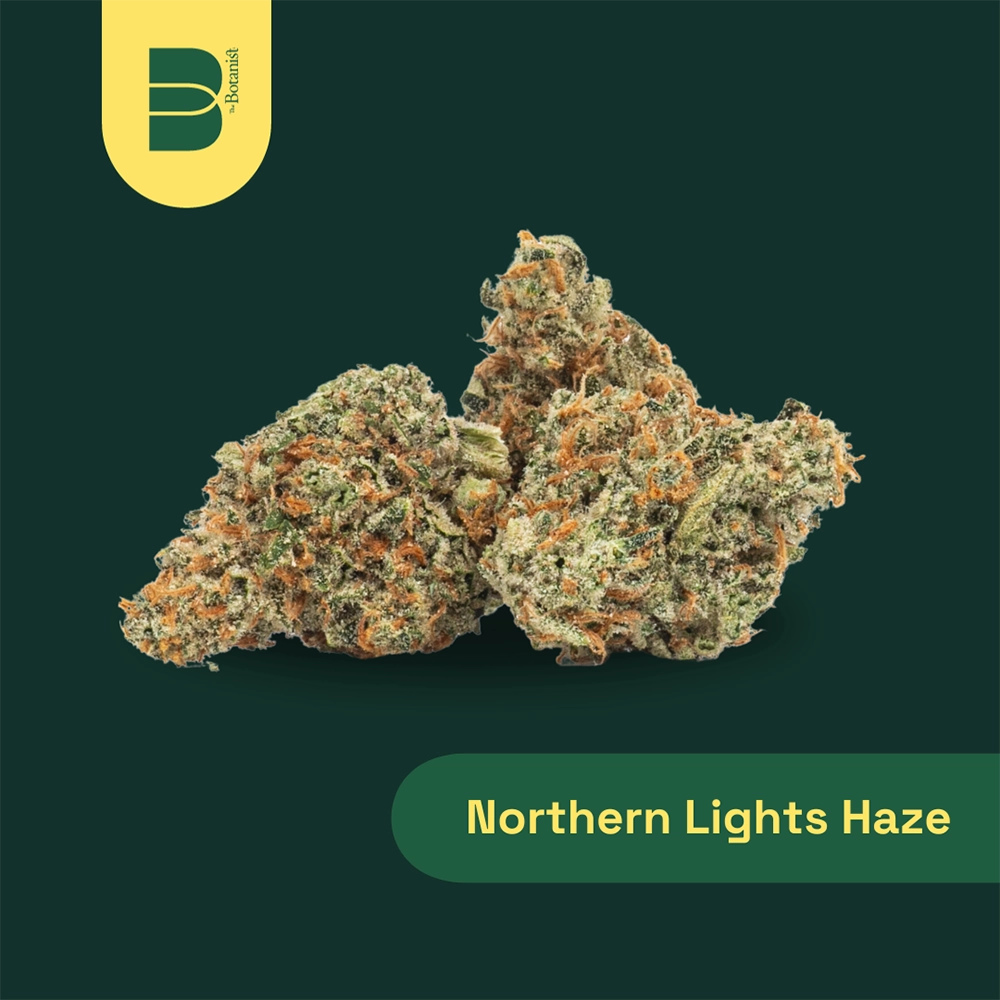 Northern Lights Haze