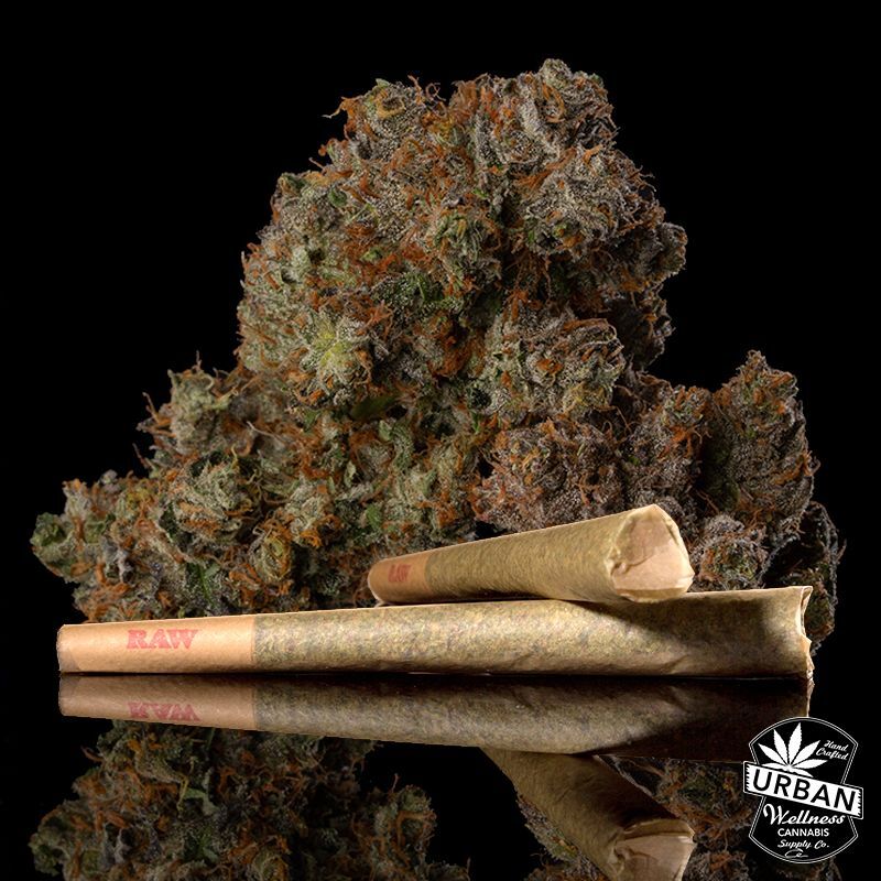 Brandy Wine Bandit [.5g]