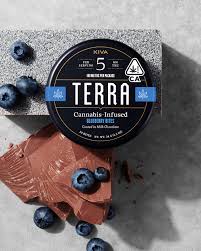 Blueberry [20pk] (100mg THC)