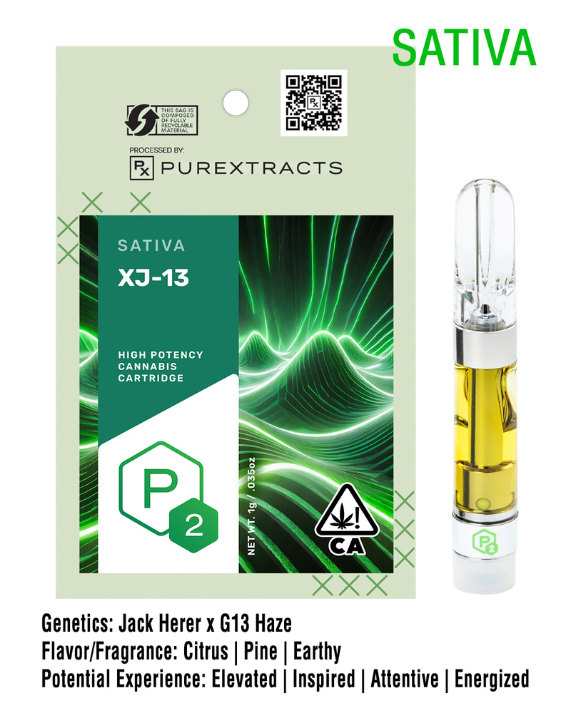 XJ-13
