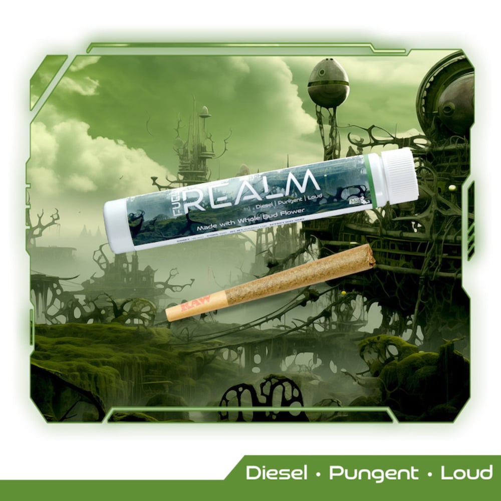 Realm - Governmint Oasis Pre-Roll (1g)