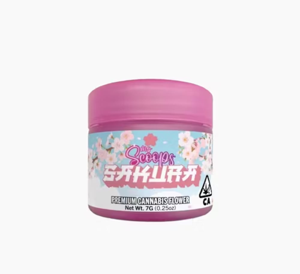 Ms. Scoops — Sakura
