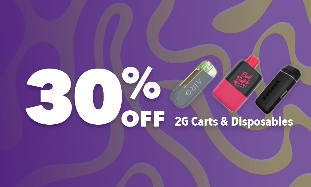Disposables (2g) 30% Off special