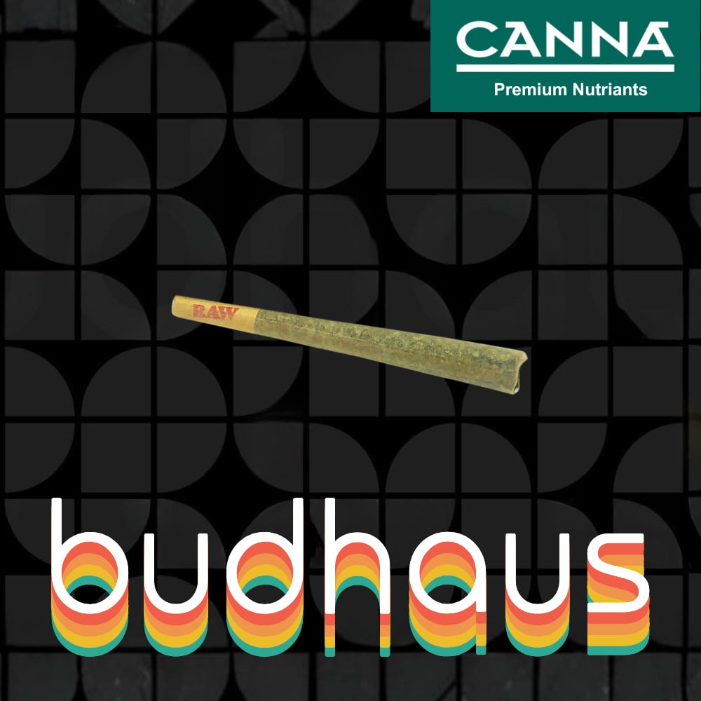 Budhaus - GG4 Pre-Roll (1g)