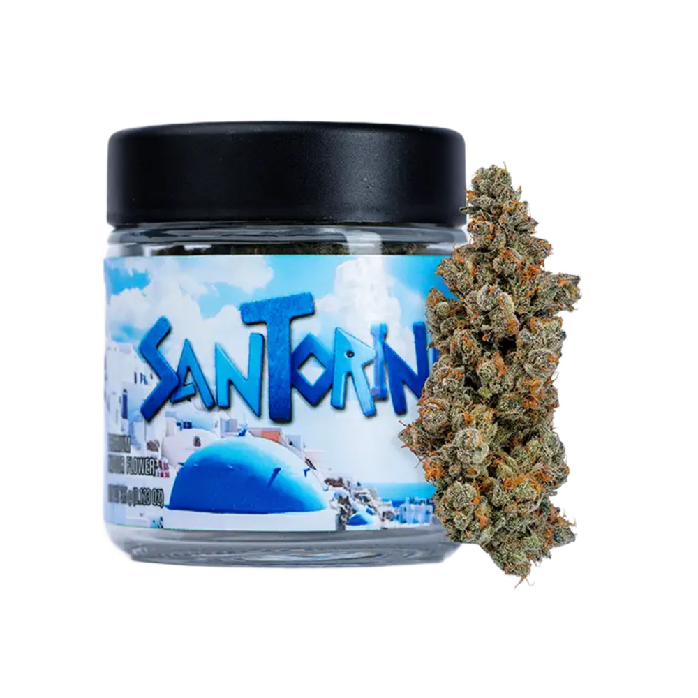 Seed Junky Genetics Santorini