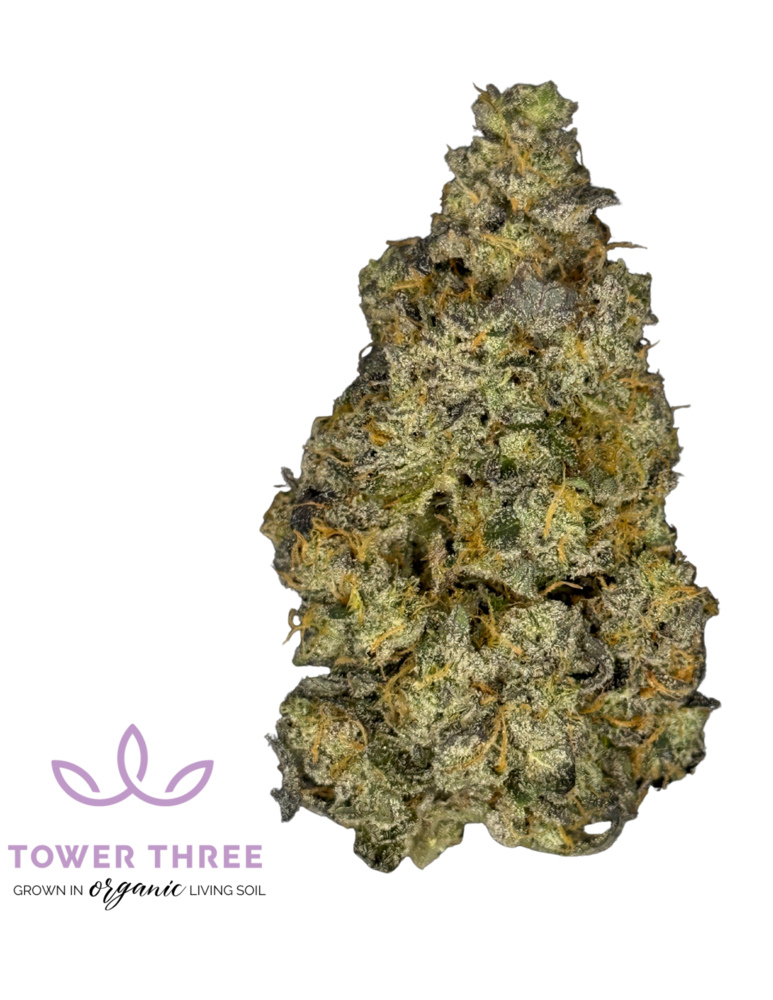 Tower Three - Oishii Flower