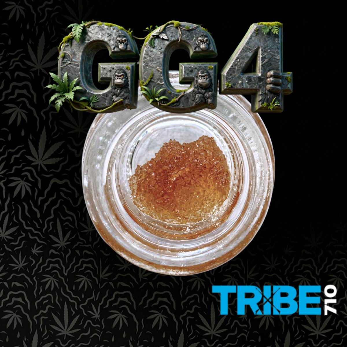 GG#4