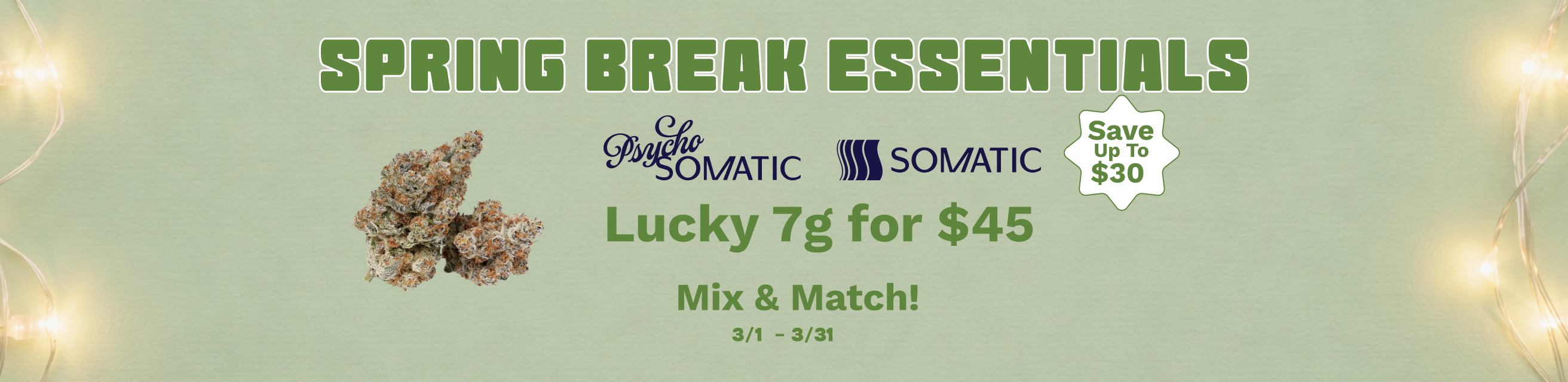 RGO 7 Roswell Marketing Banner