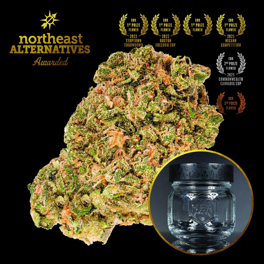 Shop Sour Tsunami | Kapha Cannabis Dispensary Lenox, MA