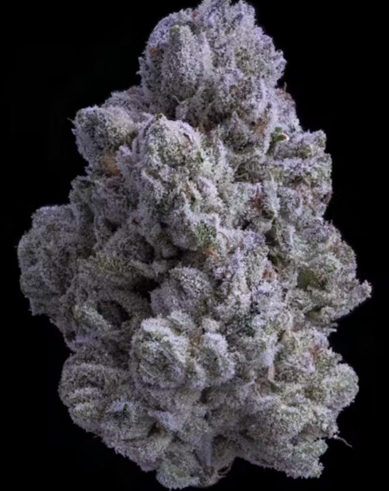 Snow White Snow White