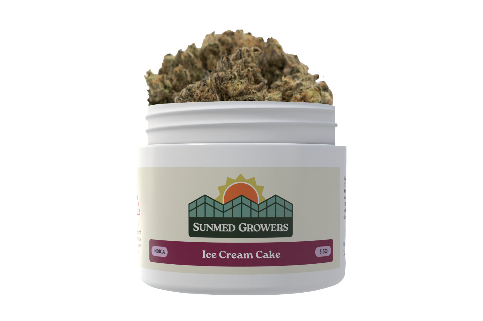 Ice Cream Cake
