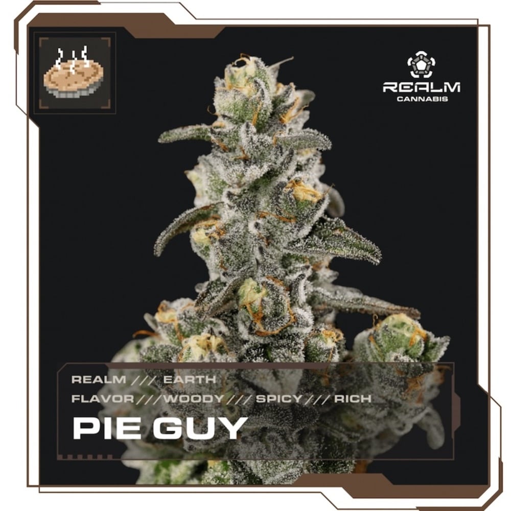 Realm - Pie Guy Top Cut Flower Realm - Pie Guy Top Cut Flower