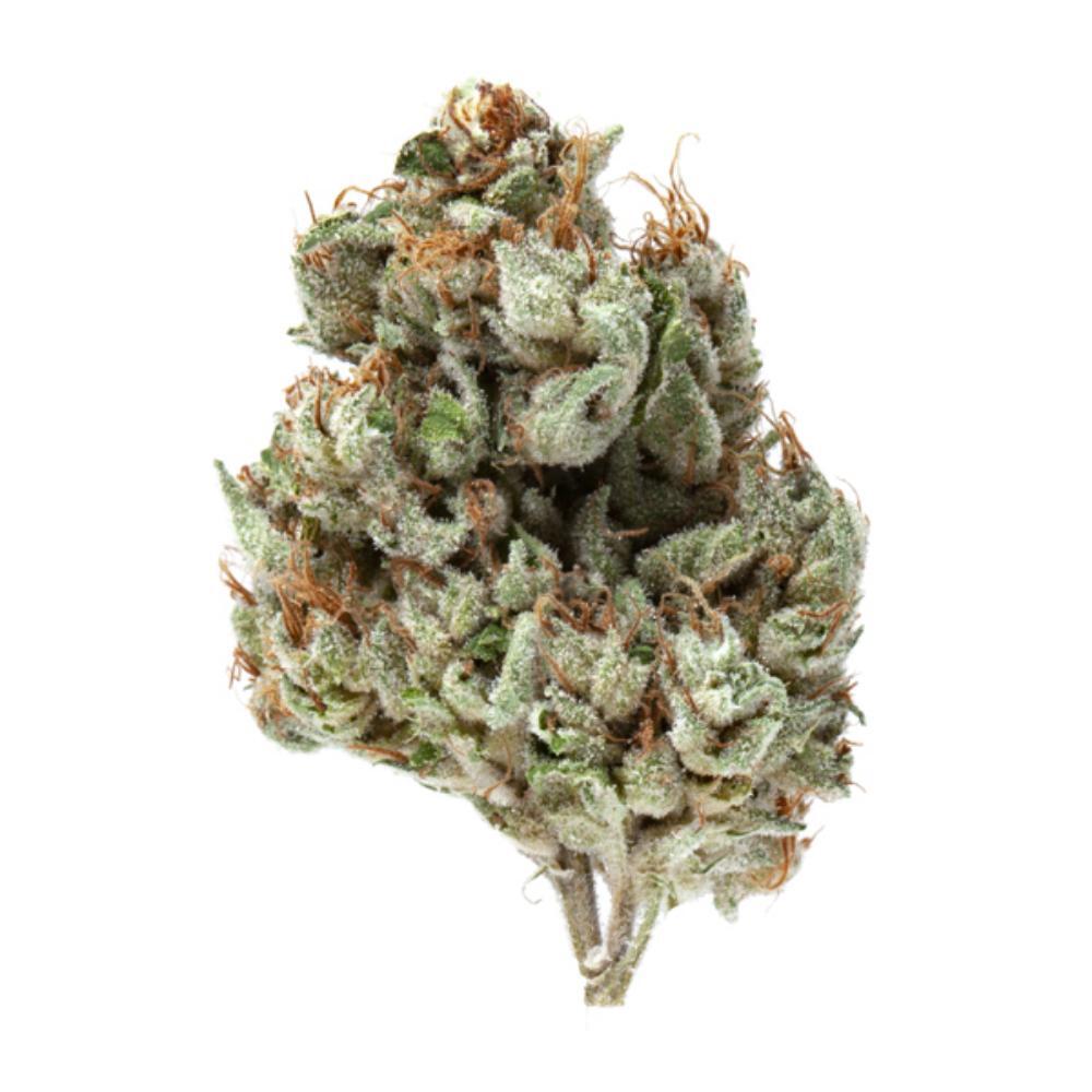 Bushido OG