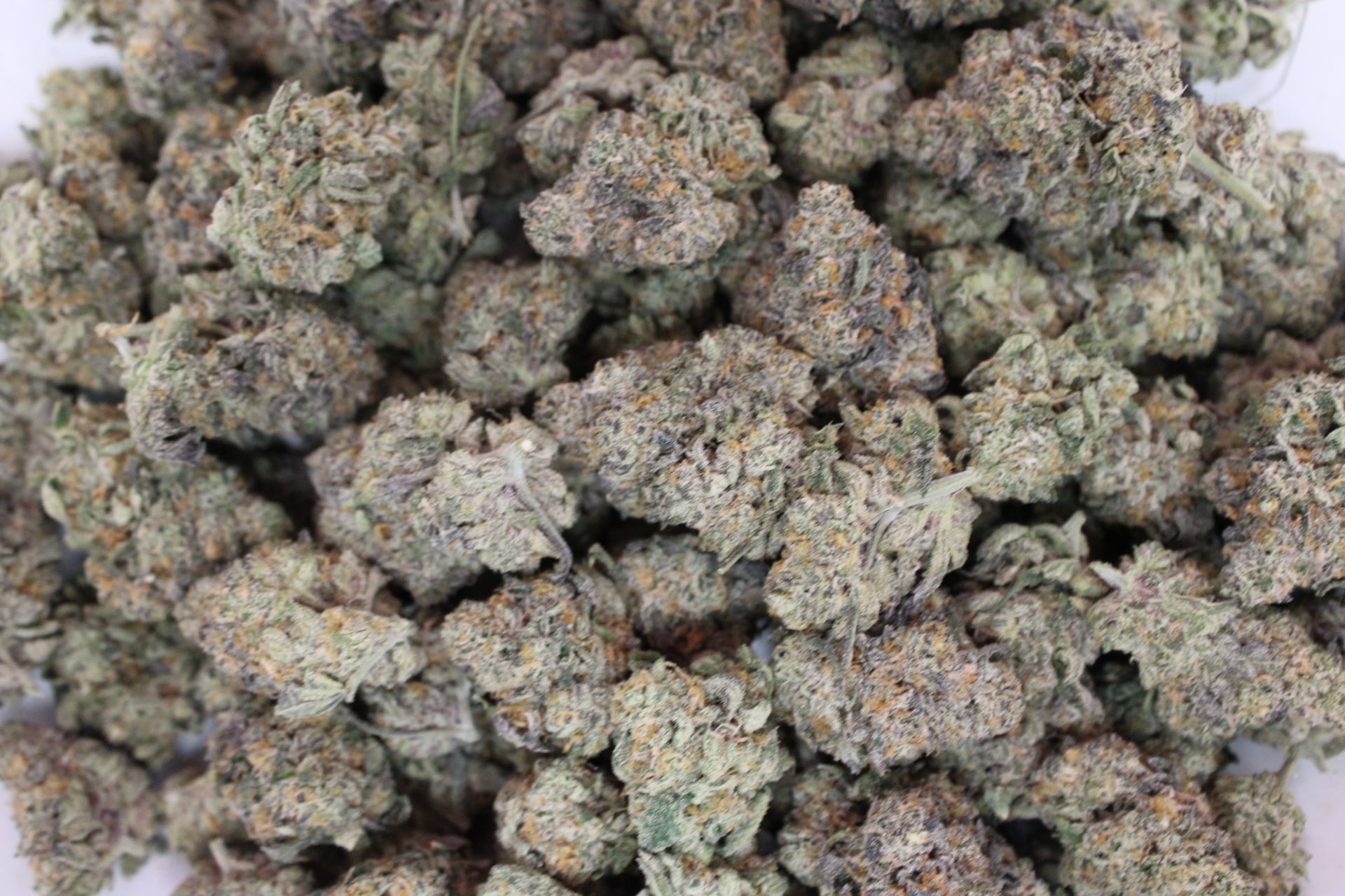 Dakota Green - Cap Junky - Bulk Flower - Hybrid