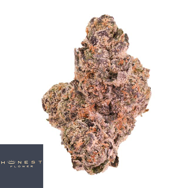 Black Cherry Gelato