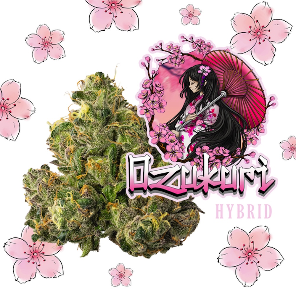 Lazy River Products - Ozukuri Flower