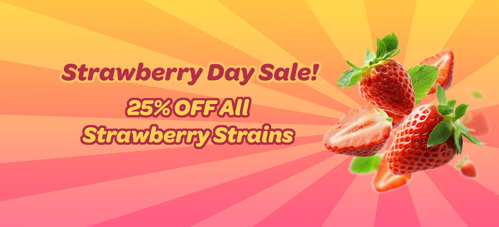 25% OFF Strawberry Strains special