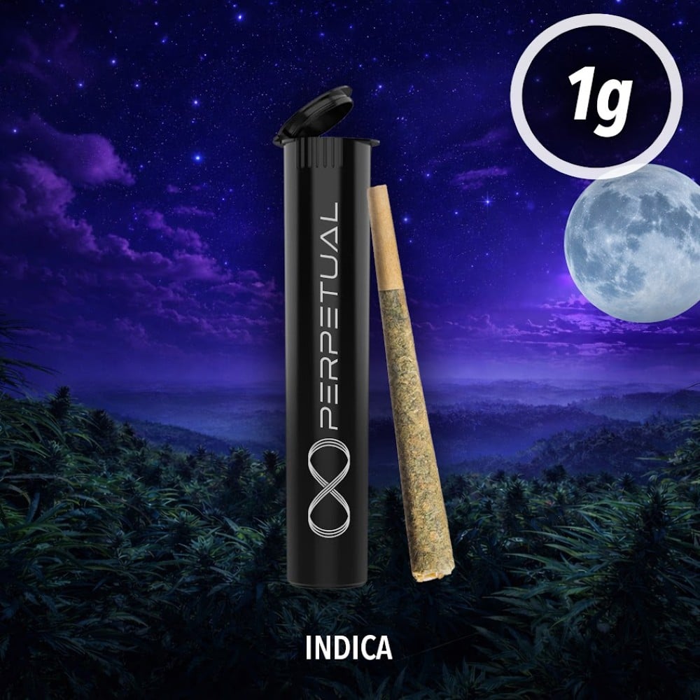Perpetual - Purple Kush Pre-Roll (1g)